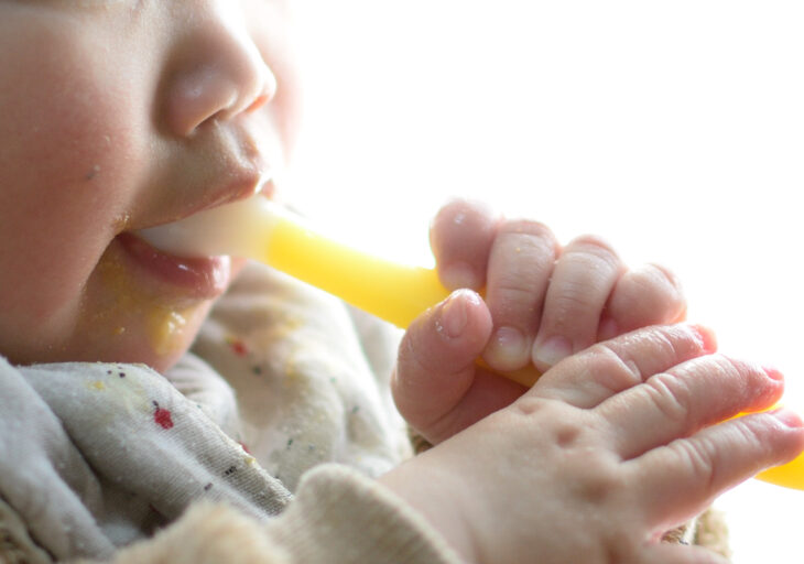 歯の本数と離乳食の形状の関係性